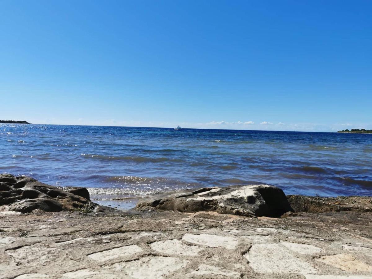 App Palcic K Novigrad (Istria) Exterior foto