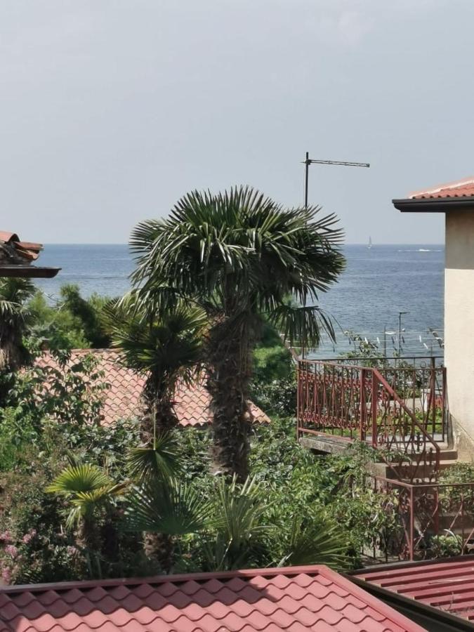 App Palcic K Novigrad (Istria) Exterior foto