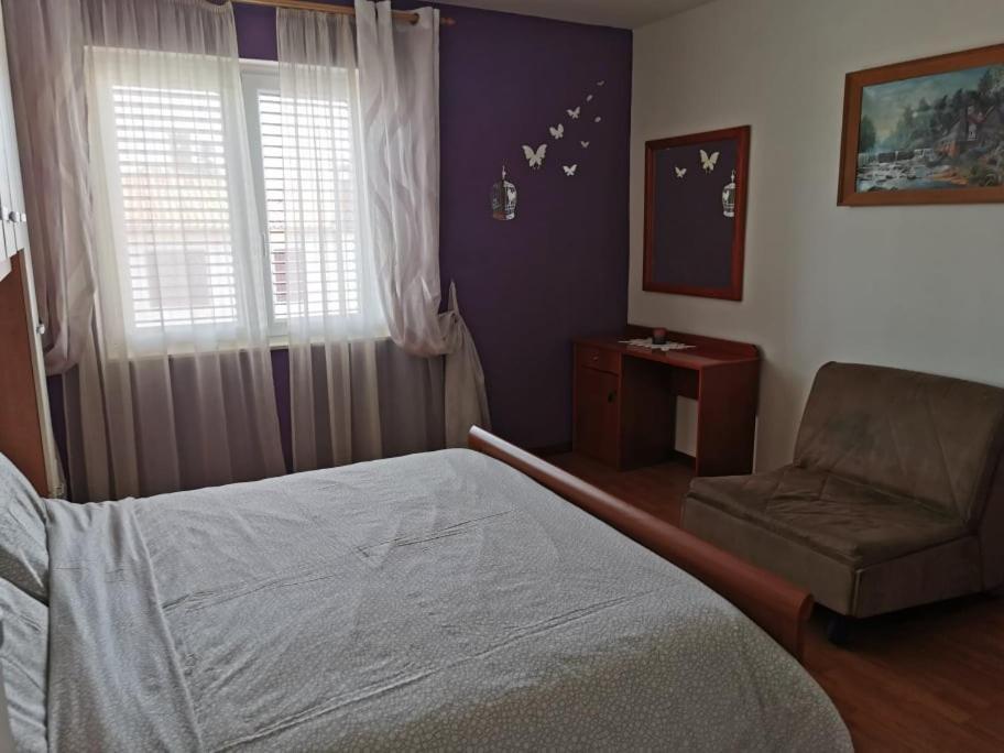 App Palcic K Novigrad (Istria) Exterior foto