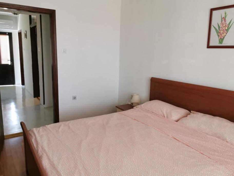 App Palcic K Novigrad (Istria) Exterior foto