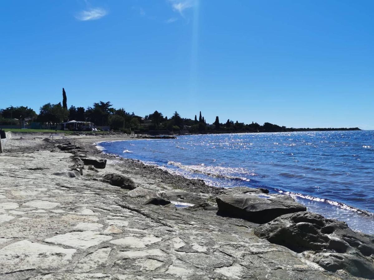 App Palcic K Novigrad (Istria) Exterior foto