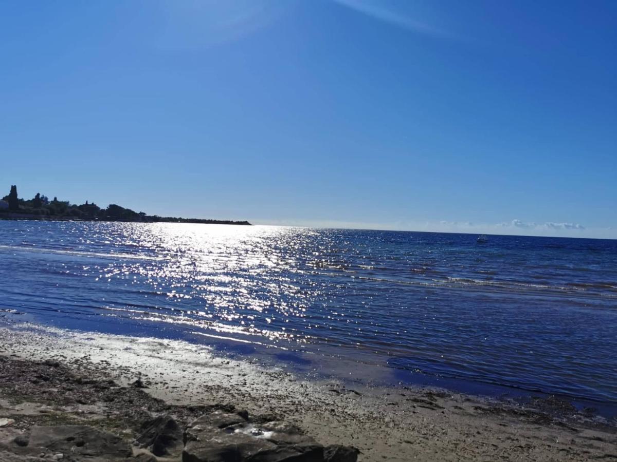 App Palcic K Novigrad (Istria) Exterior foto