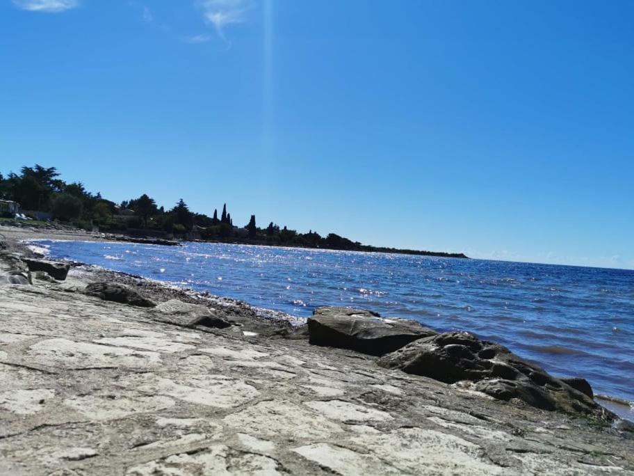 App Palcic K Novigrad (Istria) Exterior foto