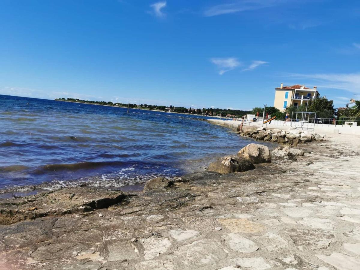 App Palcic K Novigrad (Istria) Exterior foto