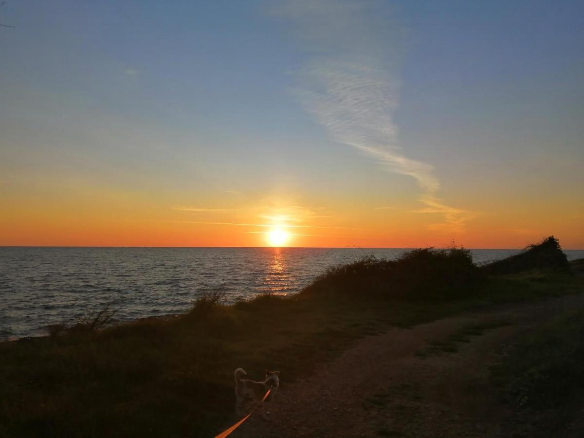 App Palcic K Novigrad (Istria) Exterior foto